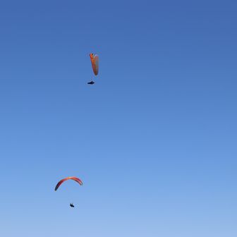 パラグライダー飛んでた