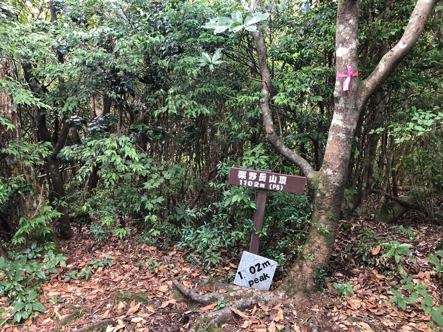 栗野岳第2峰-栗野岳 周回コースの写真