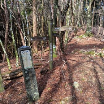 果無峠あとは下るだけ