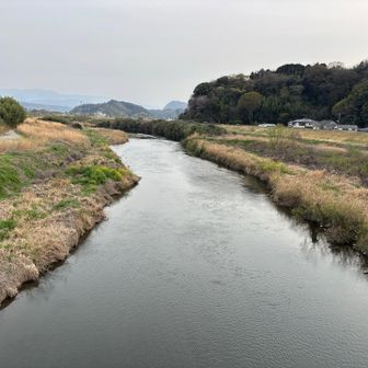 狩野川。
