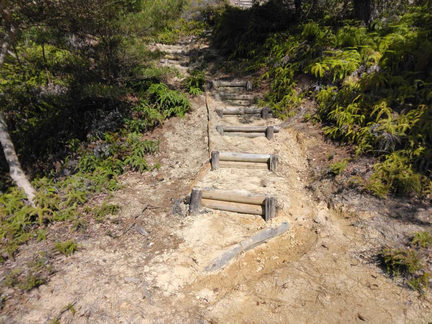 黒木山 周回コースの写真