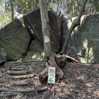 熊の石🐻🪨
ってことは、かつては（今も？）
クマはいたのかな？
見た目だけのネーミングなのかな？