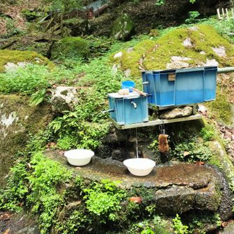 階段下り回避ルートをチョイスして戴きました
近くにテン場あるみたい
ここ、水場ですね