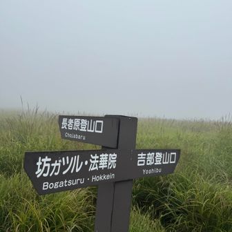 某ガツル！