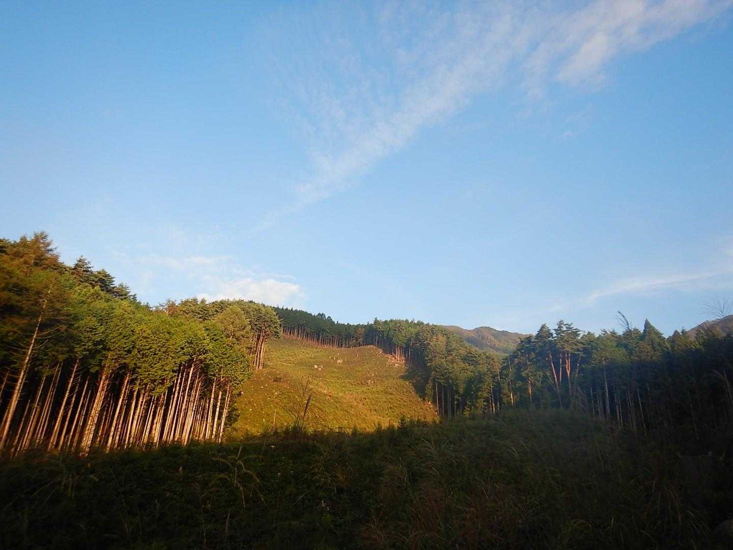 小楢山（フフ山梨登山口）＜母恋し道＞の写真