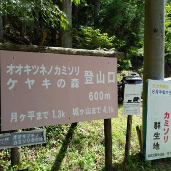 平日でもたくさん車が停まっていました。