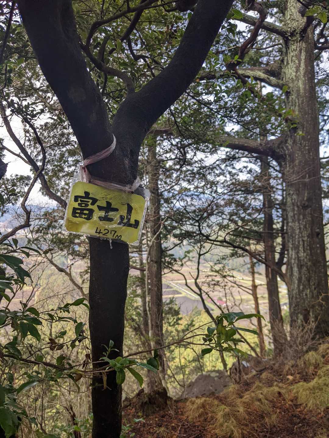 岩谷不動尊-浅間神社鳥居-富士山-刈場山 縦走コースの写真