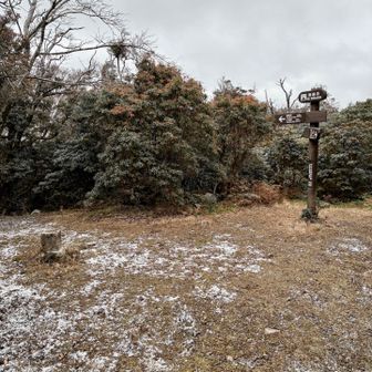 猫越岳
少しのスペースと三角点あり