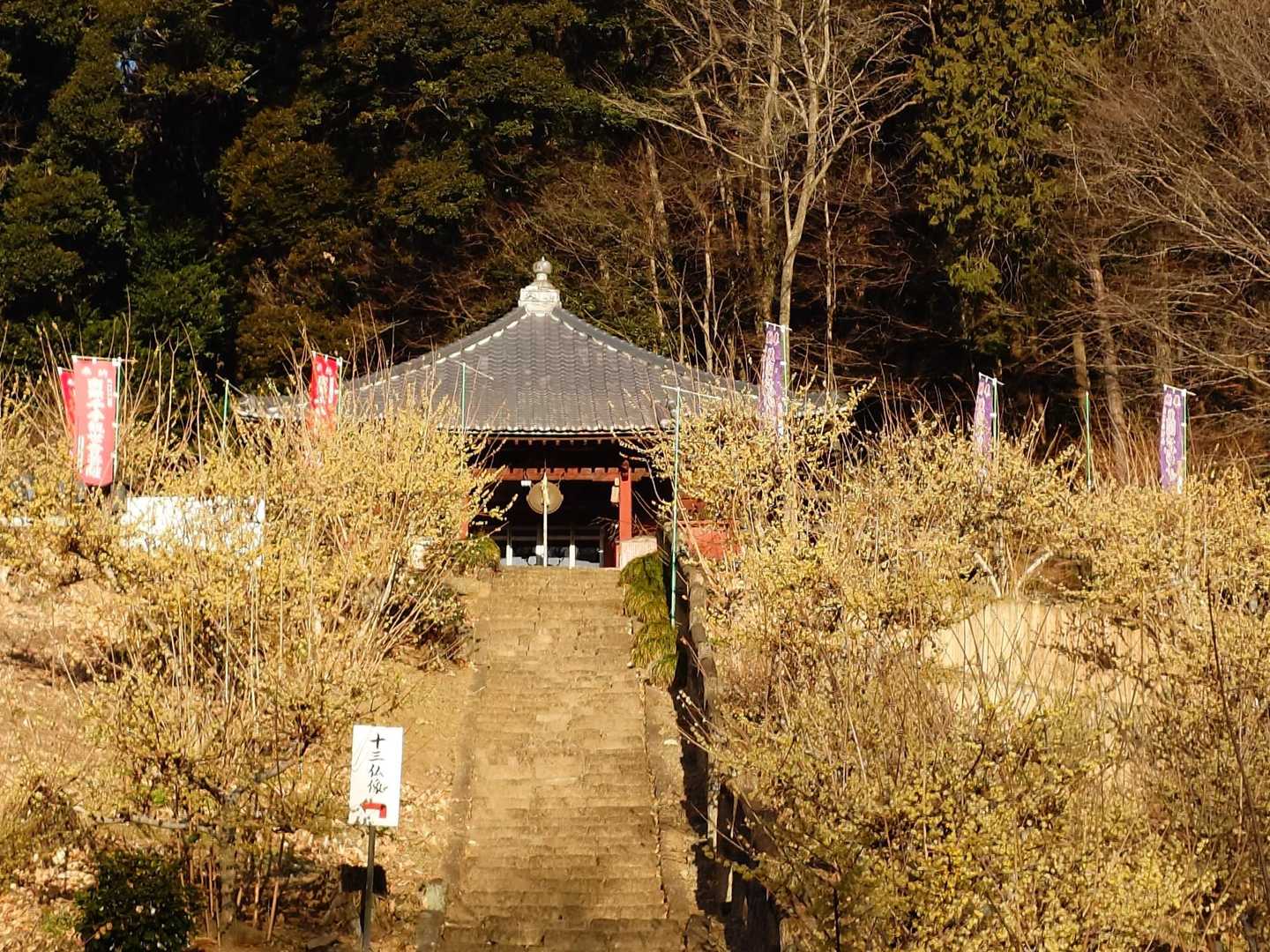 観音堂と蝋梅🌼①