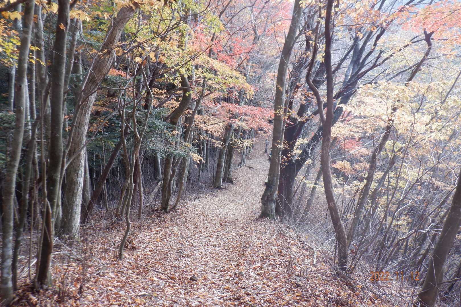 富士見峠-寧比曽岳 往復コースの写真