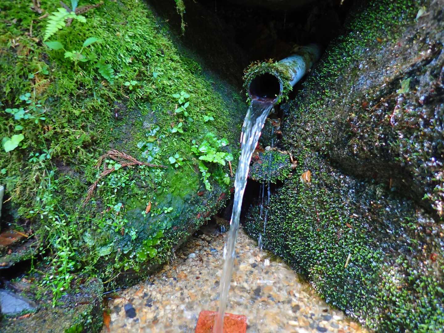 歩きやすい道でこんな延命水も出てました🚰