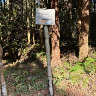 井原山登山口と雷山登山口の間に車を停め、いざ出発👣