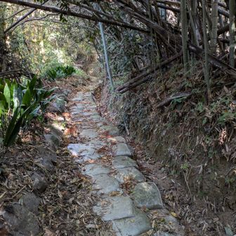土嚢を敷き締めた登山道