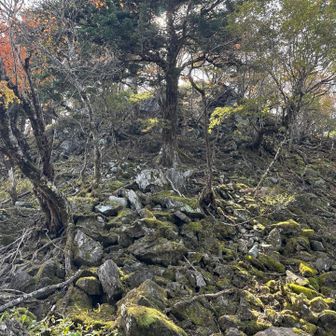 山頂手前、ここが最後の難所です
テープがあるので登るのはわかると思います