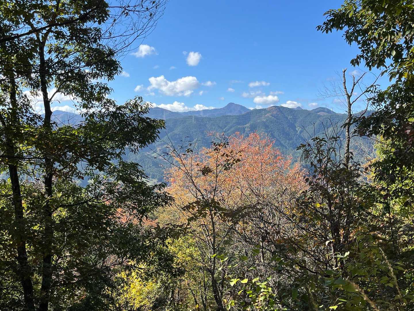 矢倉台の東屋から、大岳山が見える。
