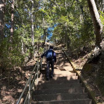 白鳥神社に向かってます！