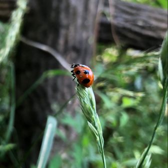 のぼりまっせ★
