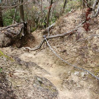 そして、下り。笑 鎖場⛓️

公園にあったら壮大なアスレチックスですな。(´-ω-)ｳﾑ