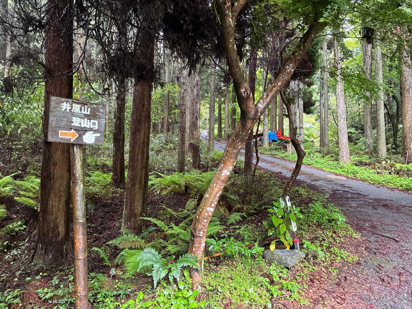 本日の最終峰へ⛰️