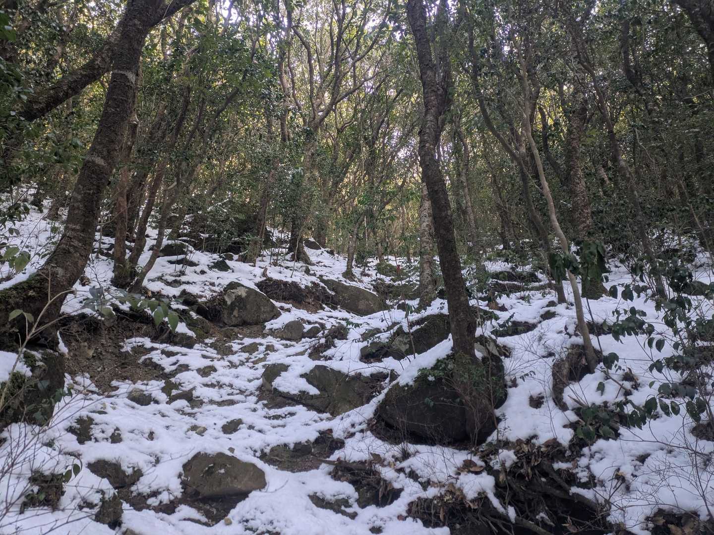 舞岳・経ヶ岳登山口-舞岳-経ヶ岳 周回コースの写真