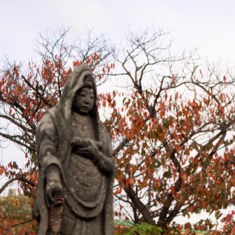 浄土宗 藻縁山 観音寺内
三十三番の観音様は、この隣におられる。