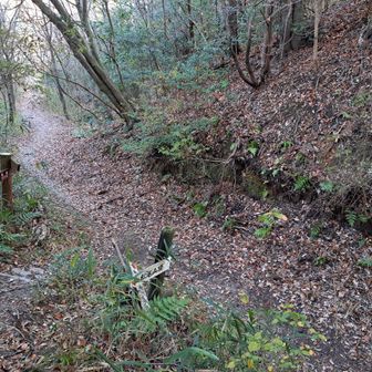 左が矢田寺で、松尾寺は右折🫱