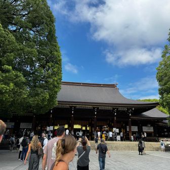 曇りだったのに青空が見えて暑くなってきた💦