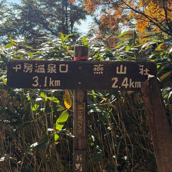 富士見ベンチ
富士山どこ？
見えない🫥って思っていたけど、帰りにちゃんと見えました🗻