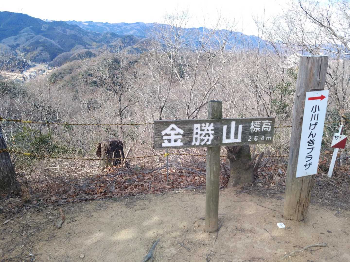 金勝山