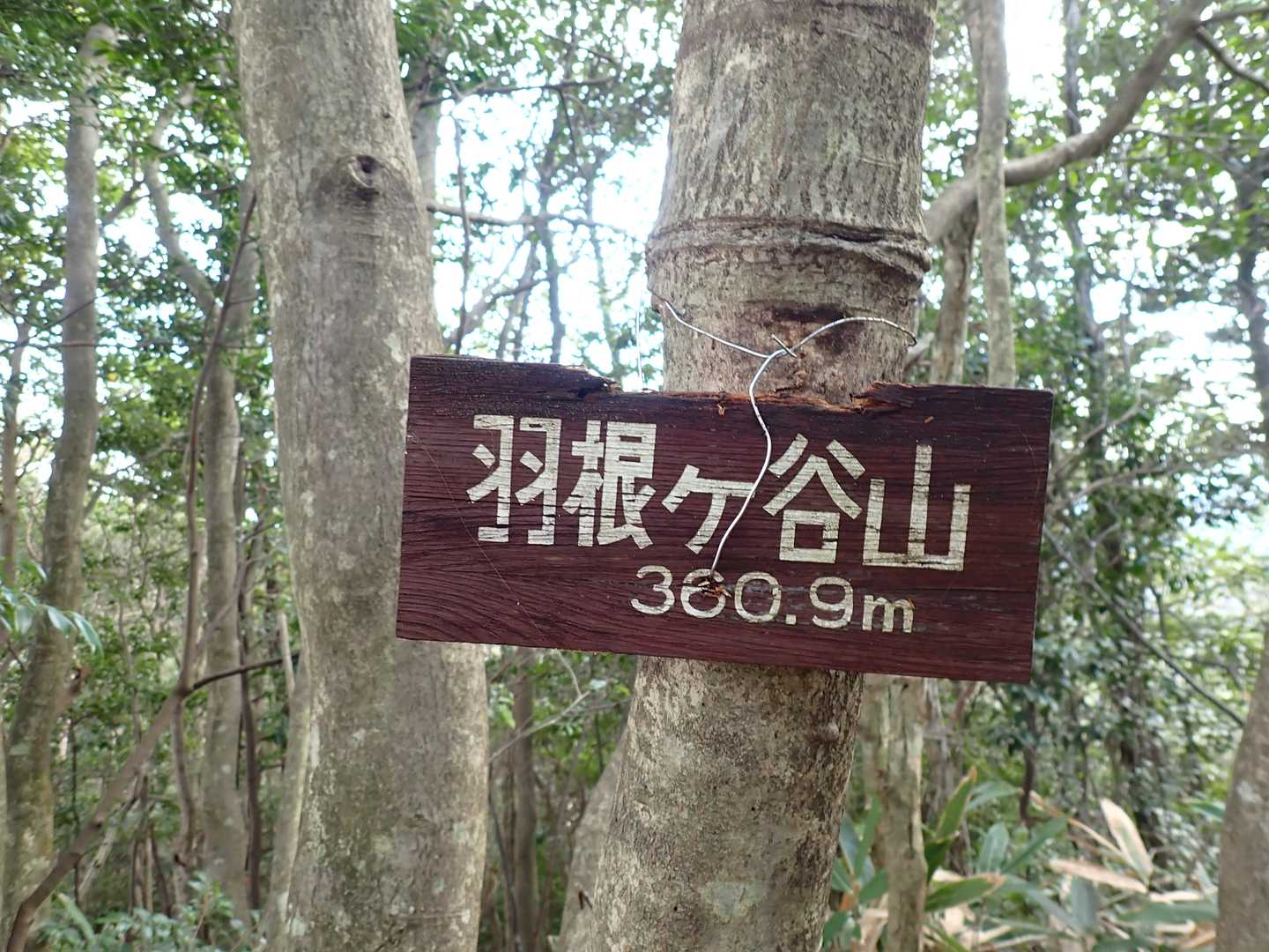 羽根ヶ谷山　360.9ｍ

これで当分は持ってくれると思います。