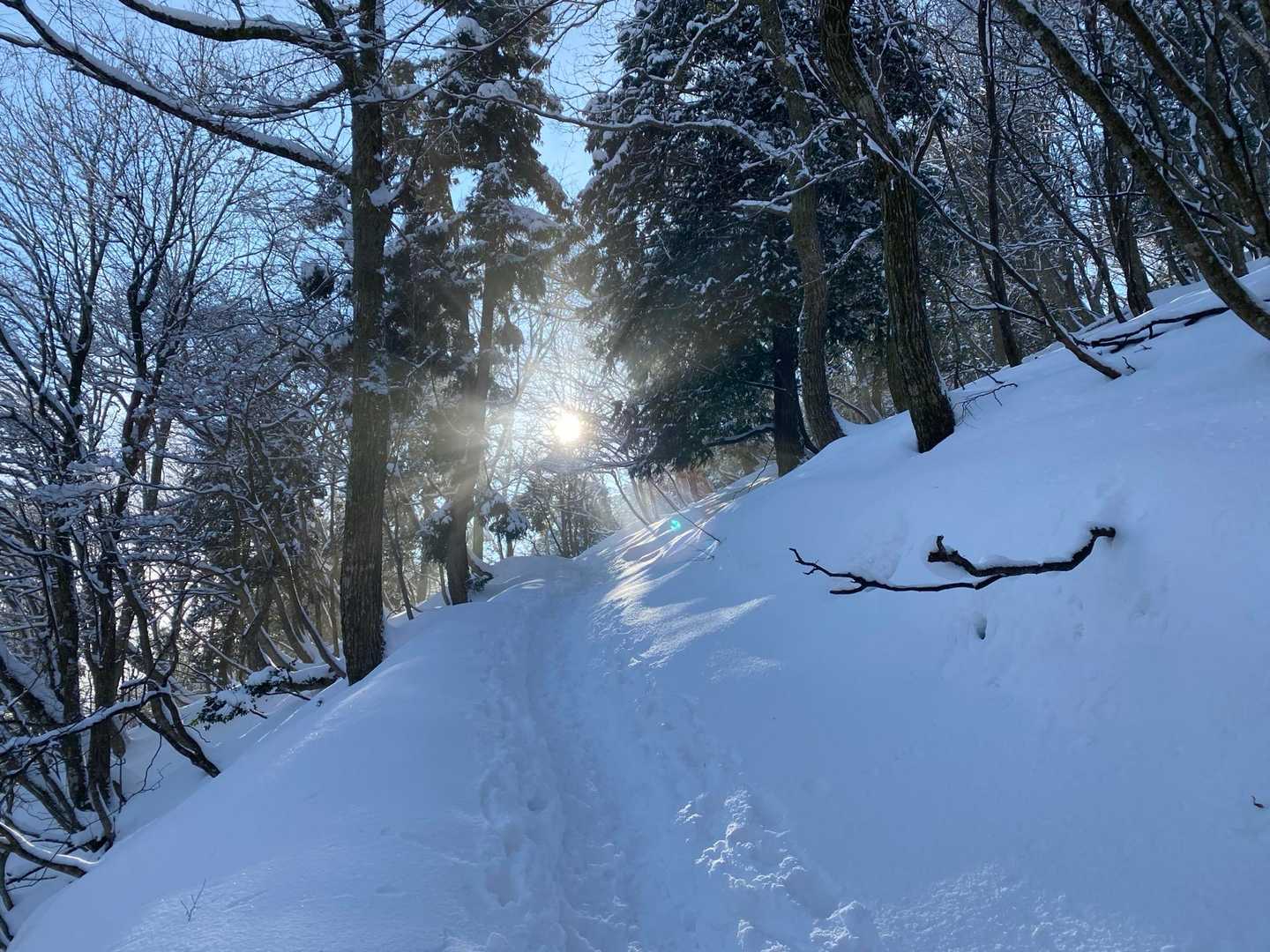 蛇谷ヶ峰 往復コースの写真