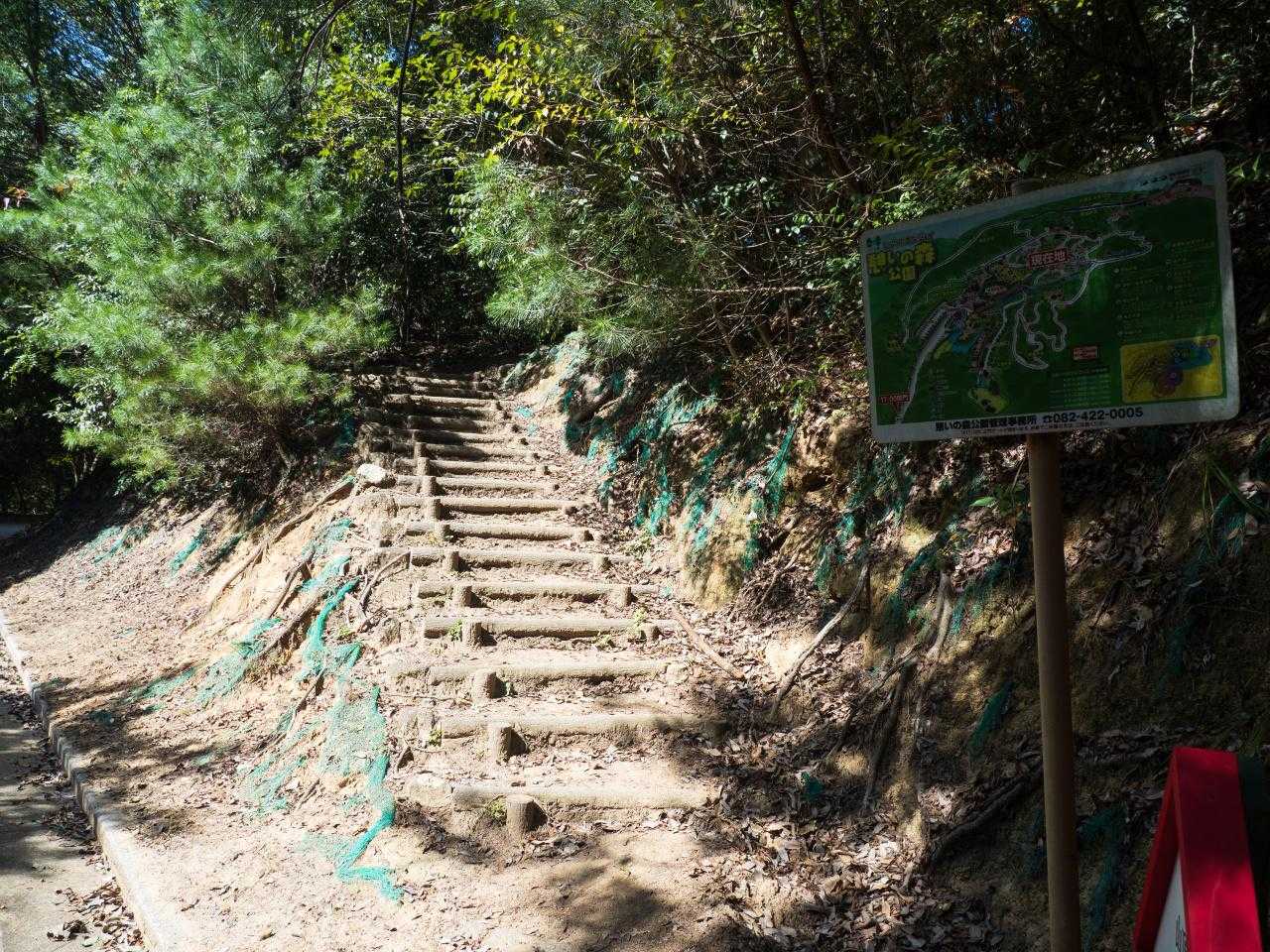 道路を横切り木の階段右へ。
