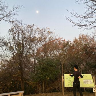 朝ごはん食べて来た道戻ります