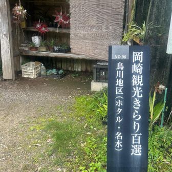 きらり✨