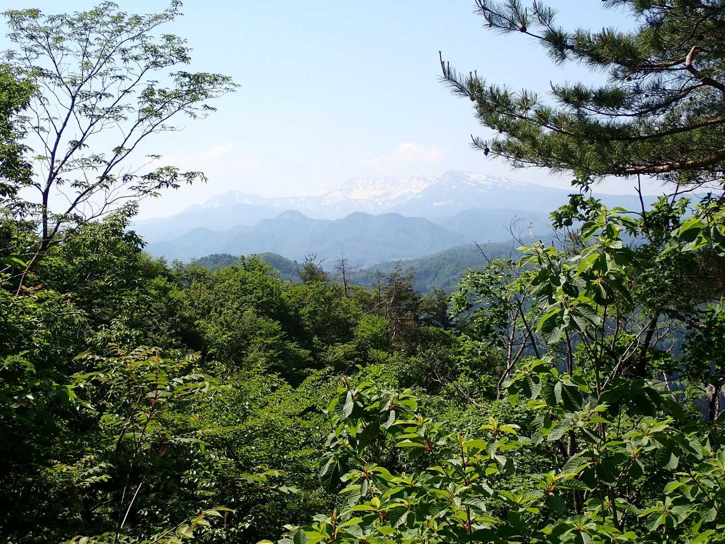 奥に守門岳⛰️