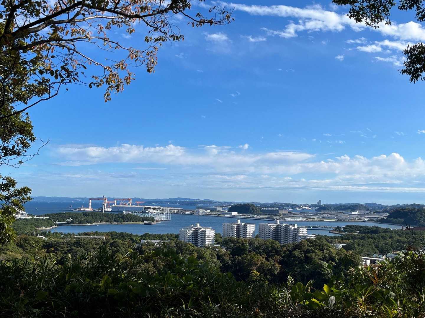金沢八景の海が広がる。遠くには房総半島。来年はここで花火大会見てもいいな🎆