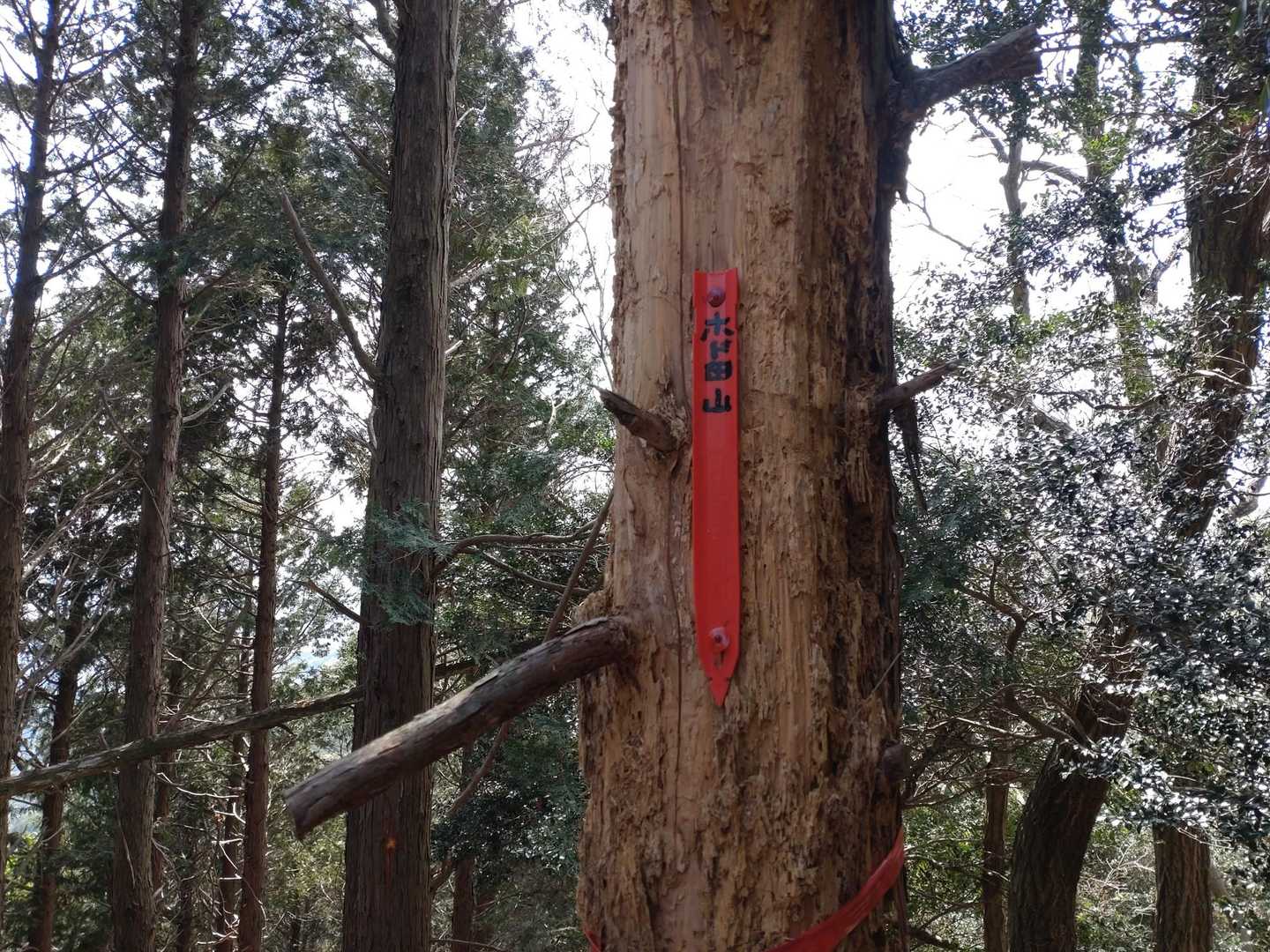 鳥川アルプス 周回コースの写真
