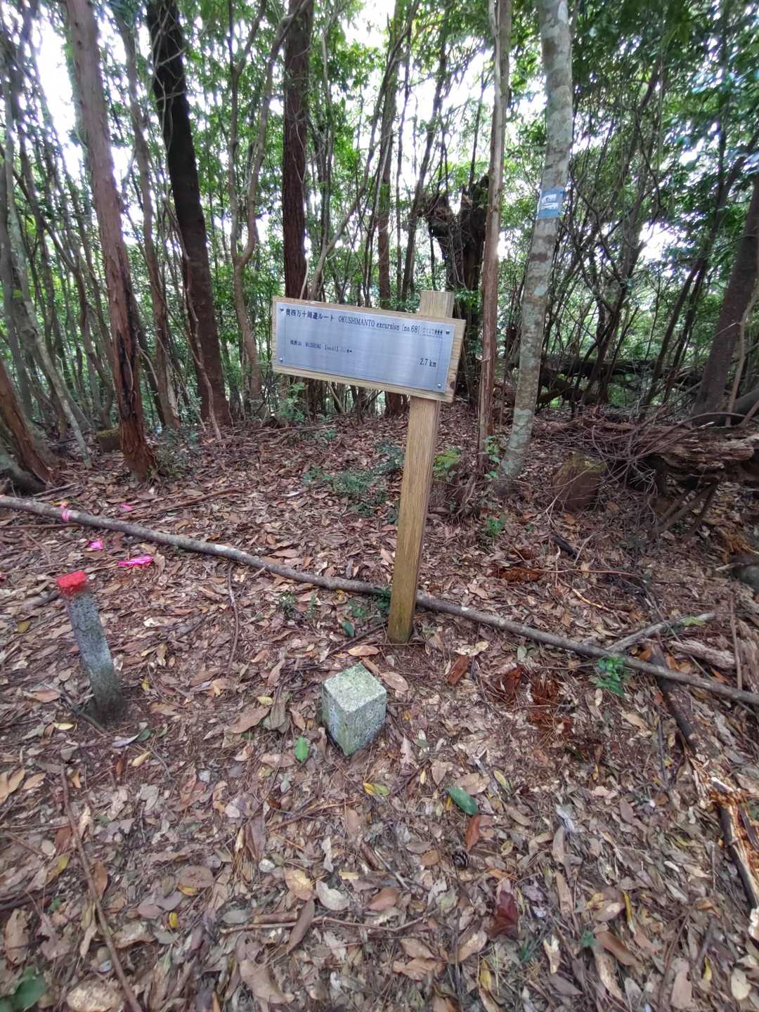 扇山の山頂。標高651.5m。
点名は、大畑山。　