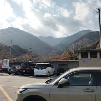養老公園無料駐車場、結構混んでました