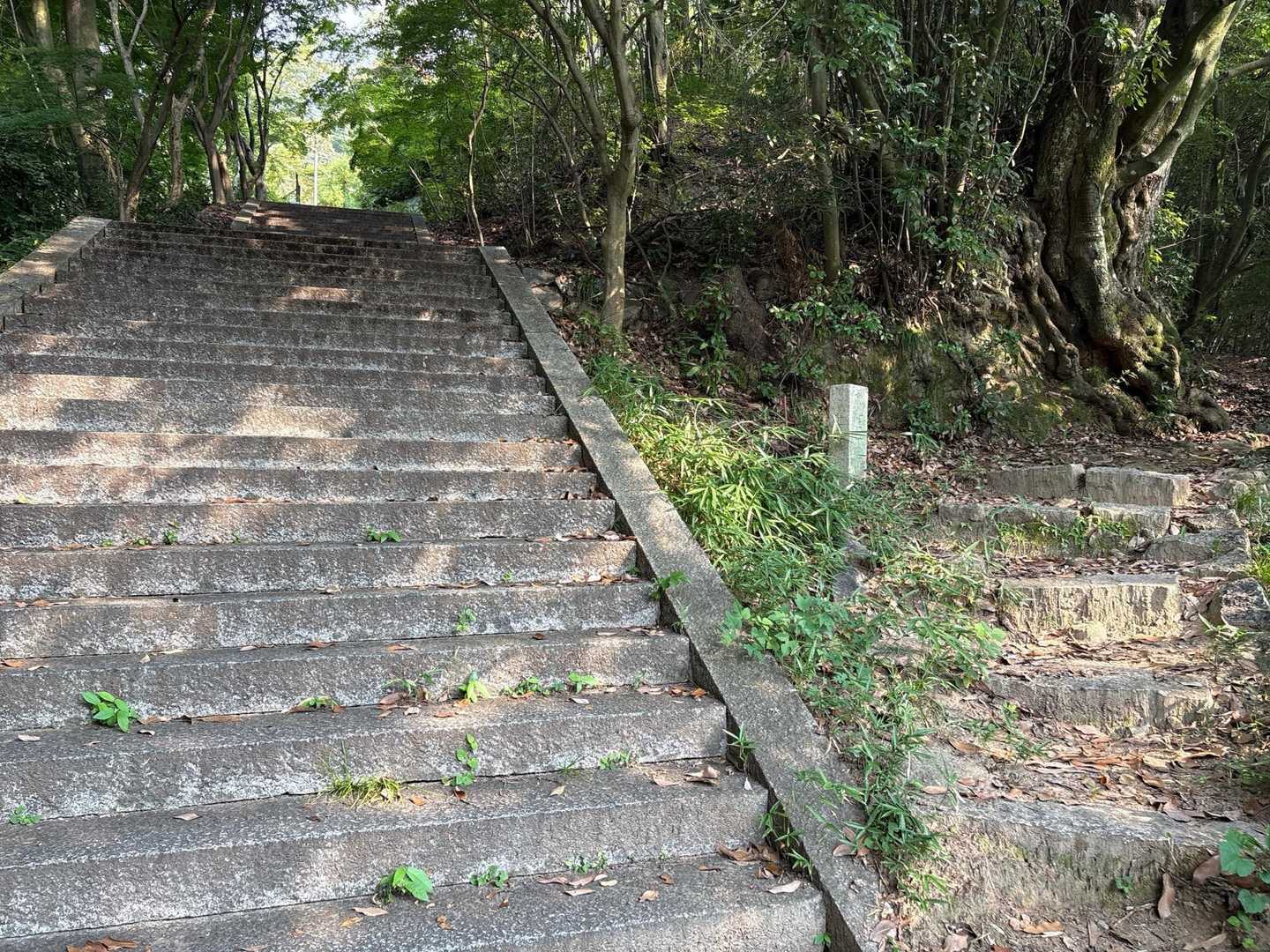 分かれ道〜