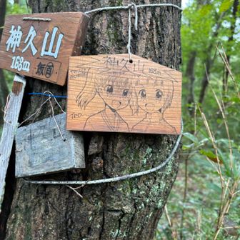 ヤマノススメ174合目だそうです。

『ヤマノススメ』原作漫画の百七十四合目（単行本第20巻に収録）のタイトルは「神久山の謎」で、ひなたと小春が飯能百名山のひとつである神久山（しんきゅうやま、標高168m）の謎を解くために天覧山周辺を訪れるエピソードです。

登場人物: 青羽ひなた、千手院小春舞台: 埼玉県飯能市（天覧山周辺・神久山）
内容: ひなたが呉服店のシャッターに描かれた山々を見ていたところ、小春と遭遇。2人で「飯能百名山」の一つでありながらマイナーな神久山の場所や謎を解明すべく、天覧山周辺の探索に向かいます。

左側のツインテールの女の子がひなたのようです。