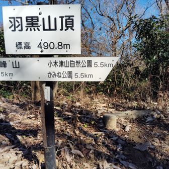 羽黒山山頂標識と三角点