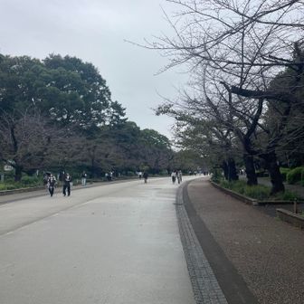 続いて、大仏山を目指します🚶