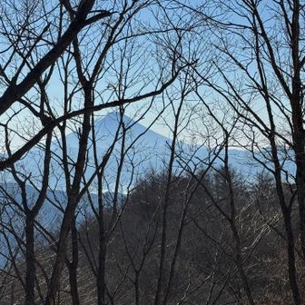 静かで風も少しおさまったのでここで🍙