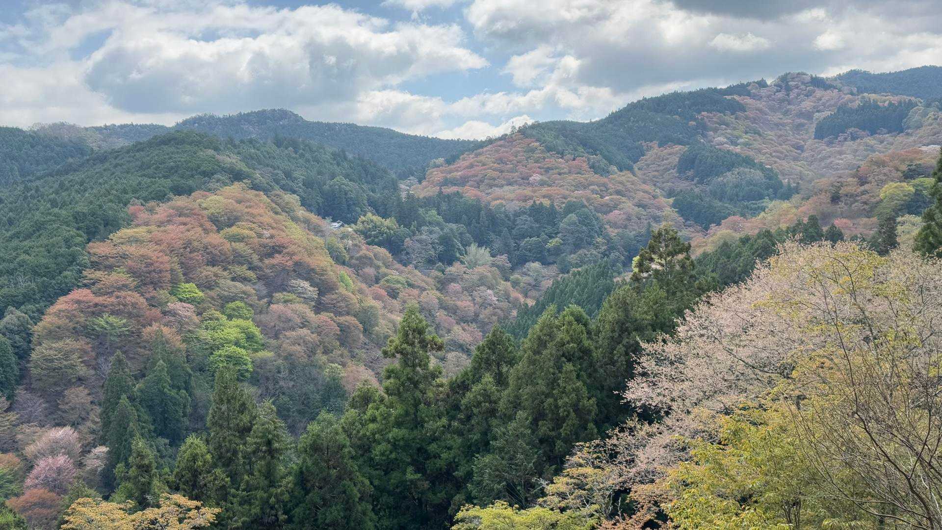 一目千本より、また来年