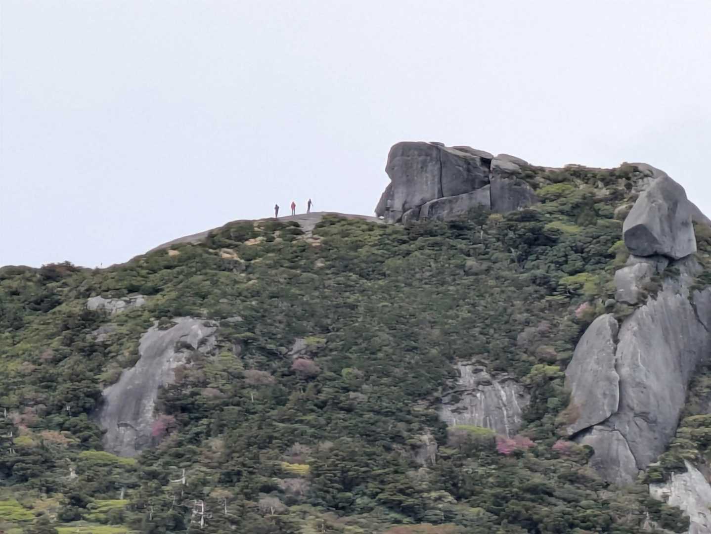 さっきまでいた黒味岳に人の姿が