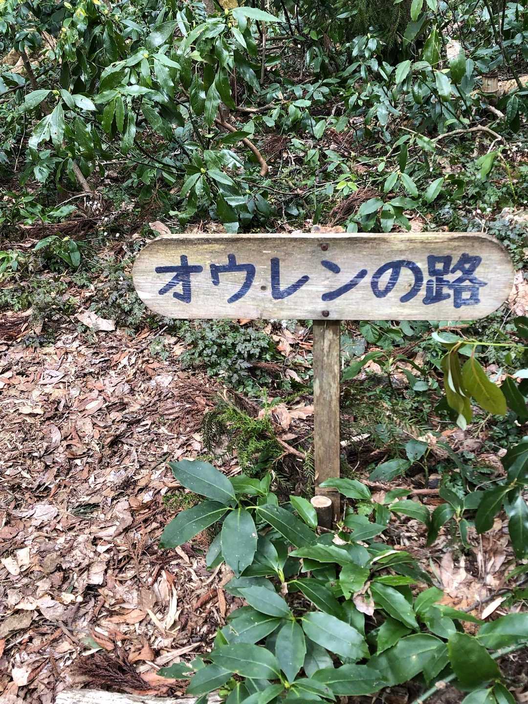 🫀ドキドキ💓