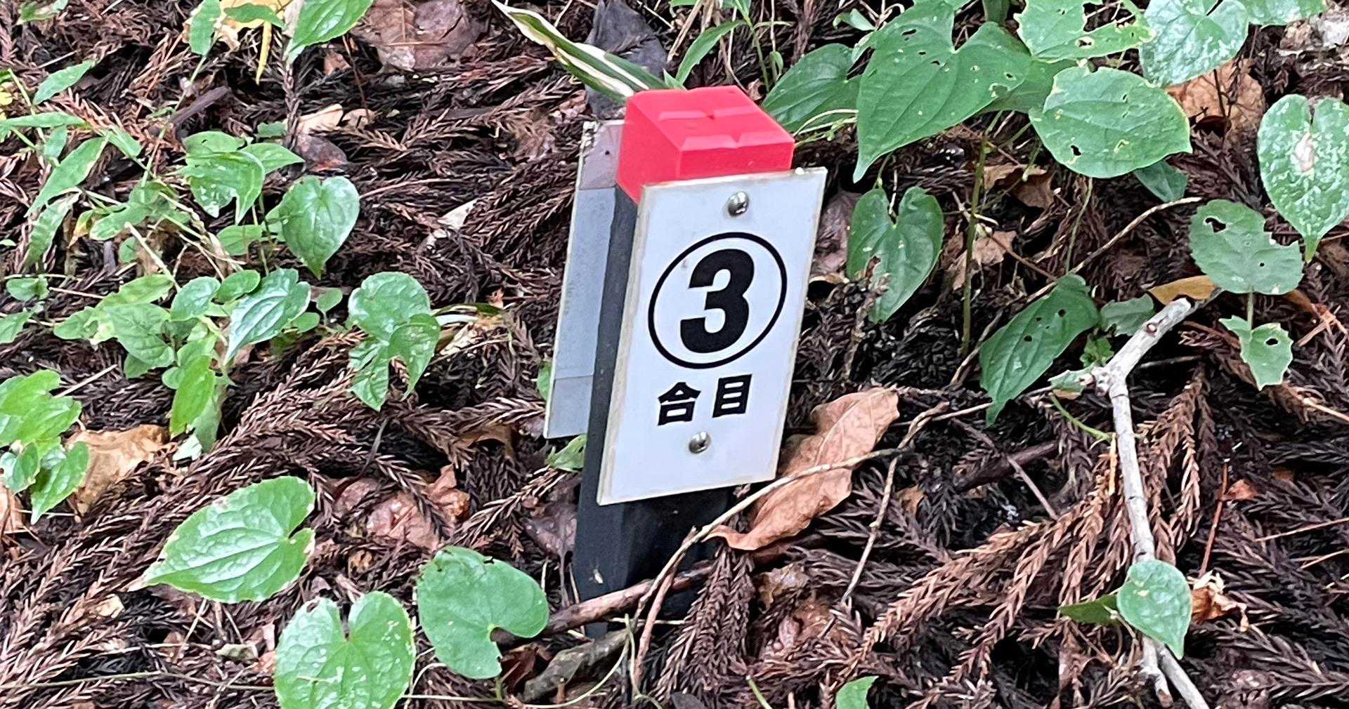 3人の尼さまが飯降山で修行☝️