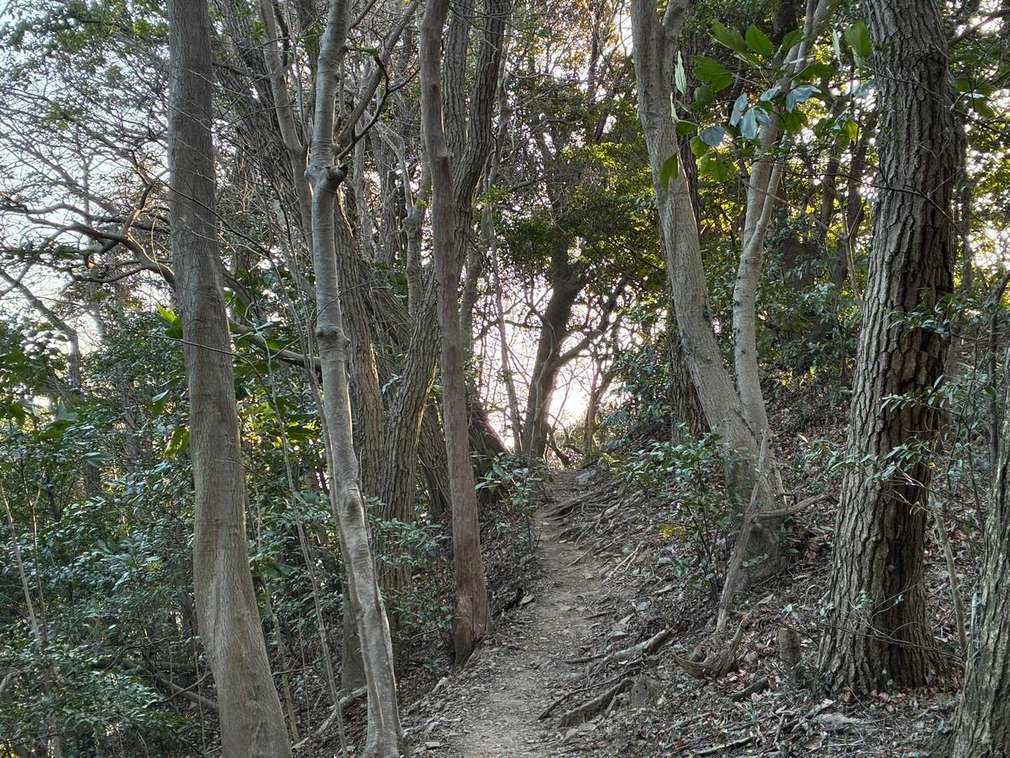 怪我なく無事下山
皆さん
ありがとうございました♡