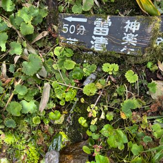 雷清水
2Ｌいただいて　家でコーヒー淹れたい☕️
湧水大好き